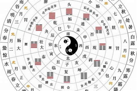 天干 生肖|天幹地支